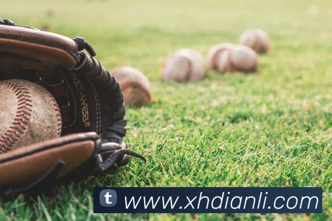 世界杯开户平台平台生态图